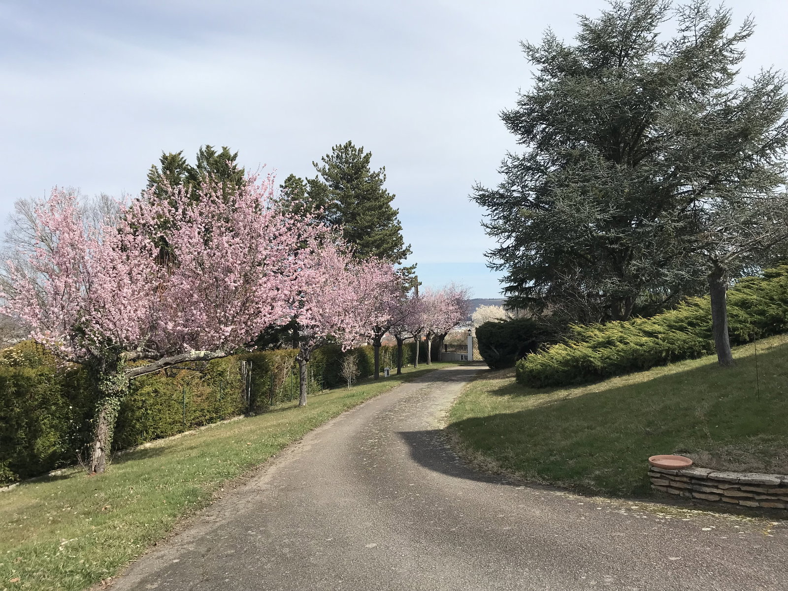 Colocation Montluçon 397906