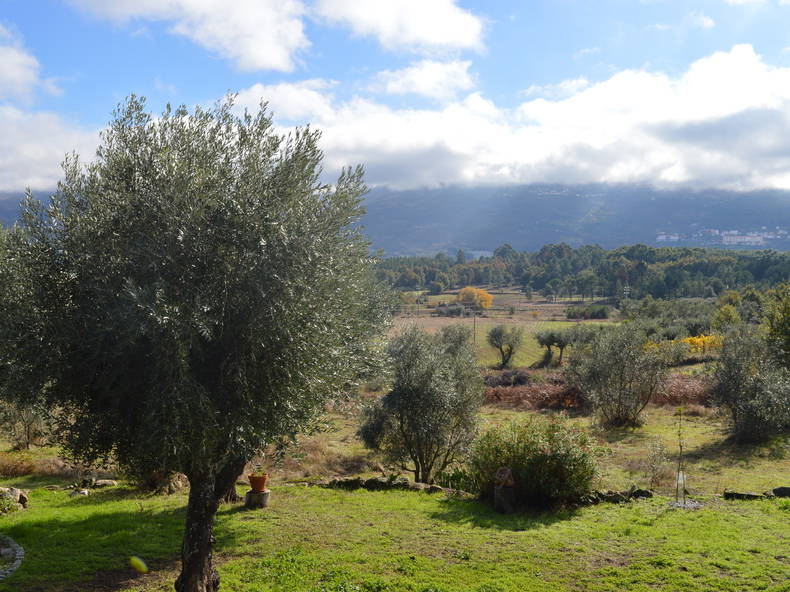 Quedarse En Casa undefined 249309-4