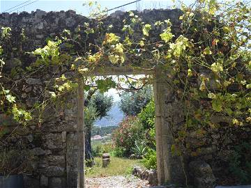 Chambre Chez L'habitant Undefined 249309-5