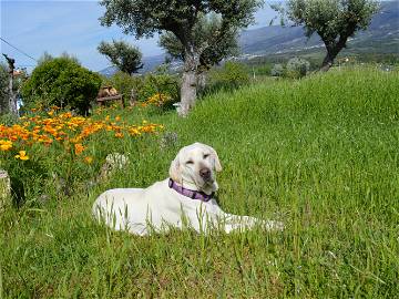 Chambre Chez L'habitant Undefined 249309-7
