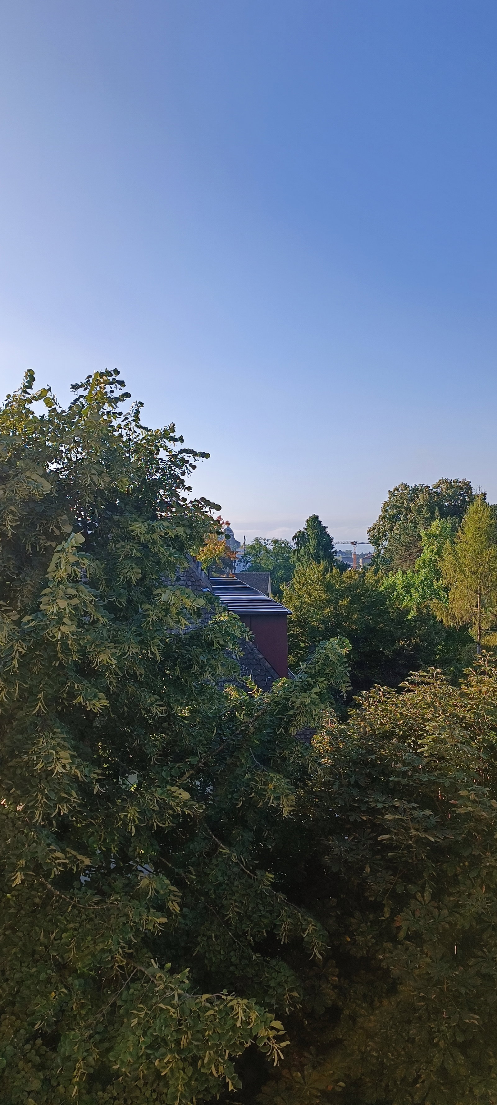 Chambre Chez L'habitant Zürich 253838