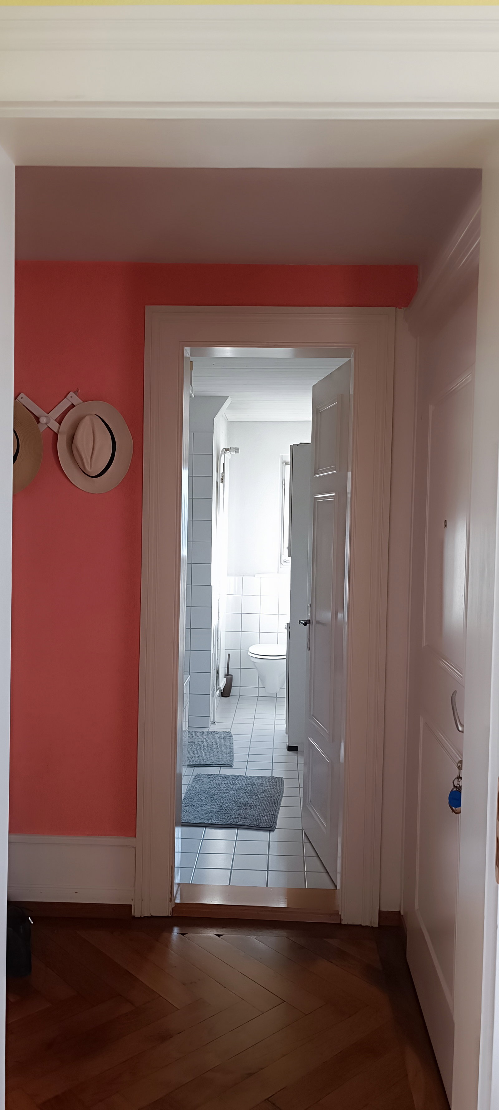 Chambre Chez L'habitant Zürich 253838