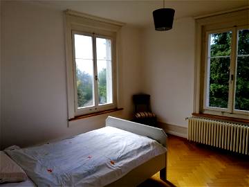 Chambre Chez L'habitant Zürich 253839-1