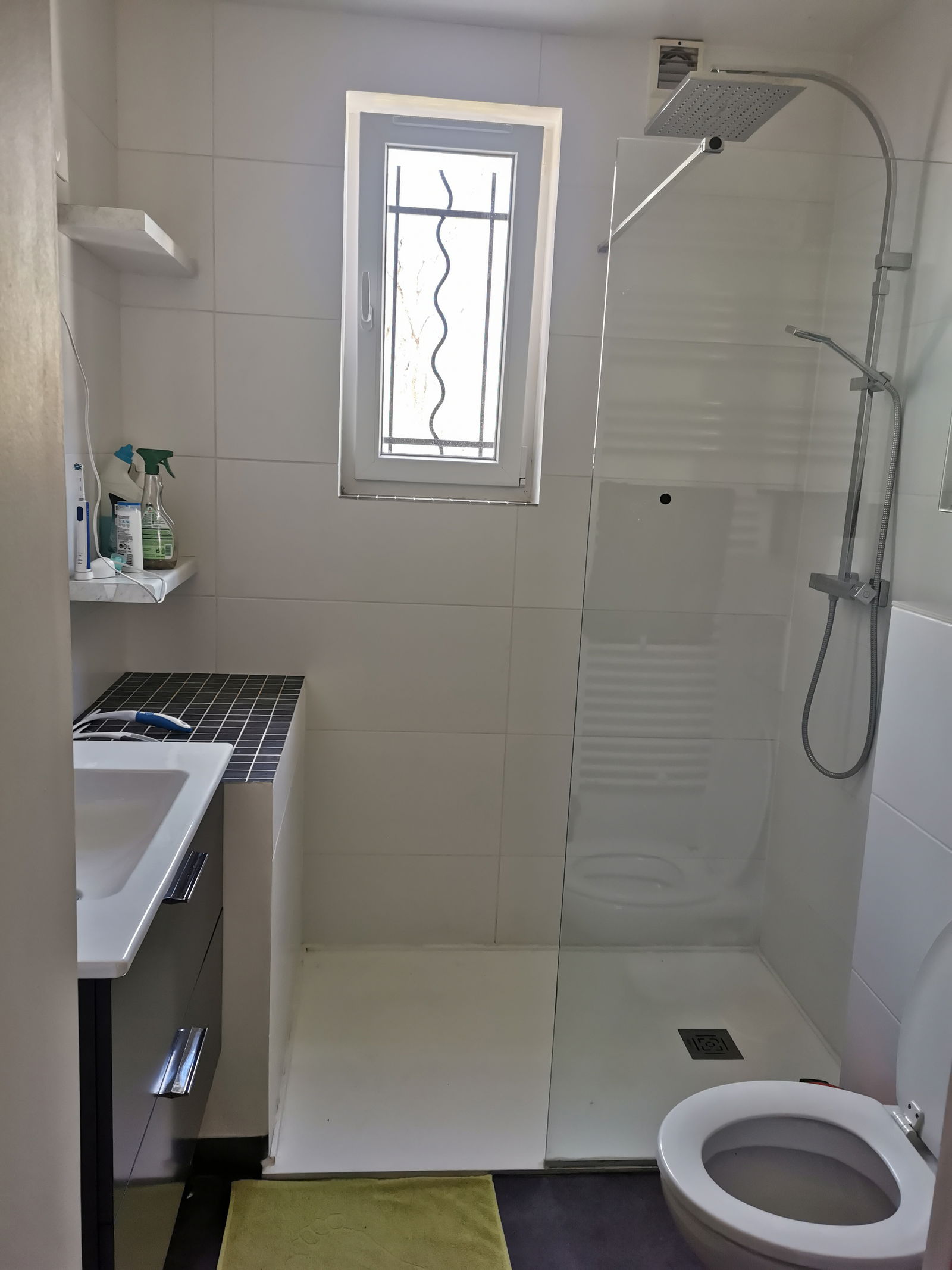 Chambre Chez L'habitant Villeneuve-d'Ascq 531039