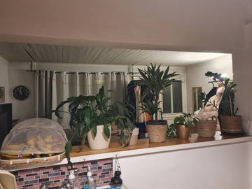 Colocation Villepinte 202900-12