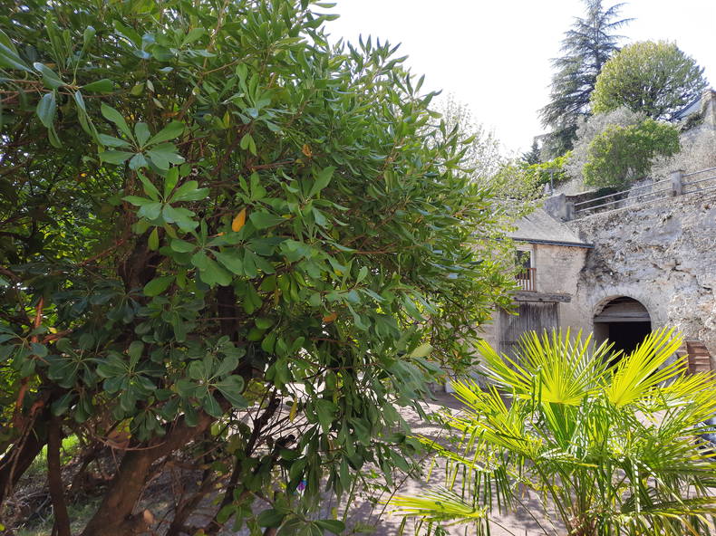 Logement Entier Vouvray 253554-1