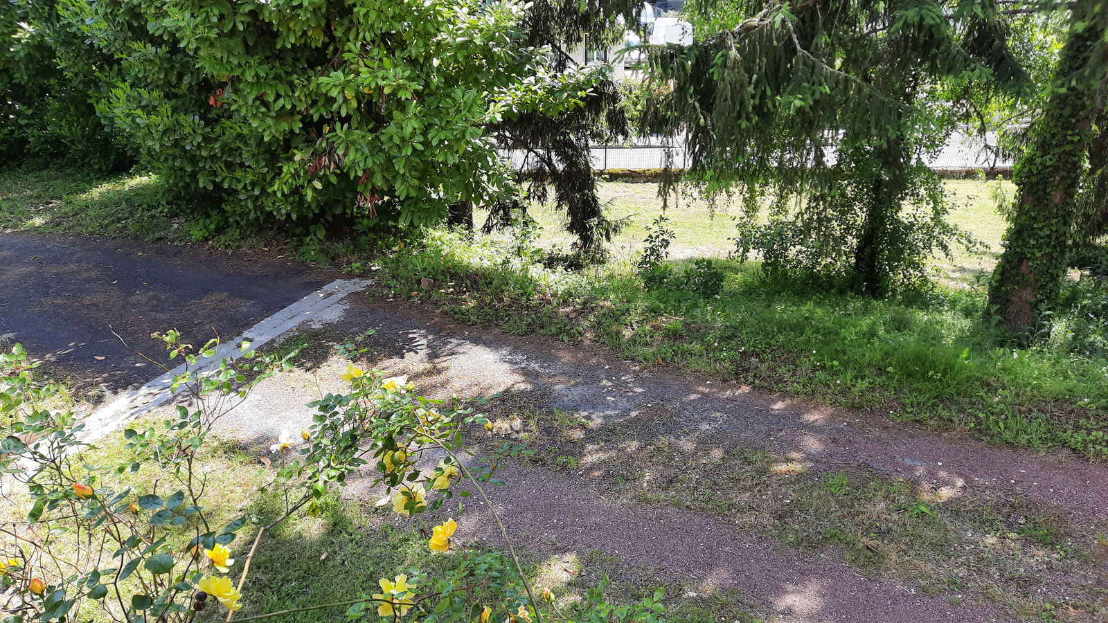 Independent Studio Vouvray 253554