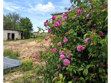 Chambre Chez L'habitant Orignolles 661473-13