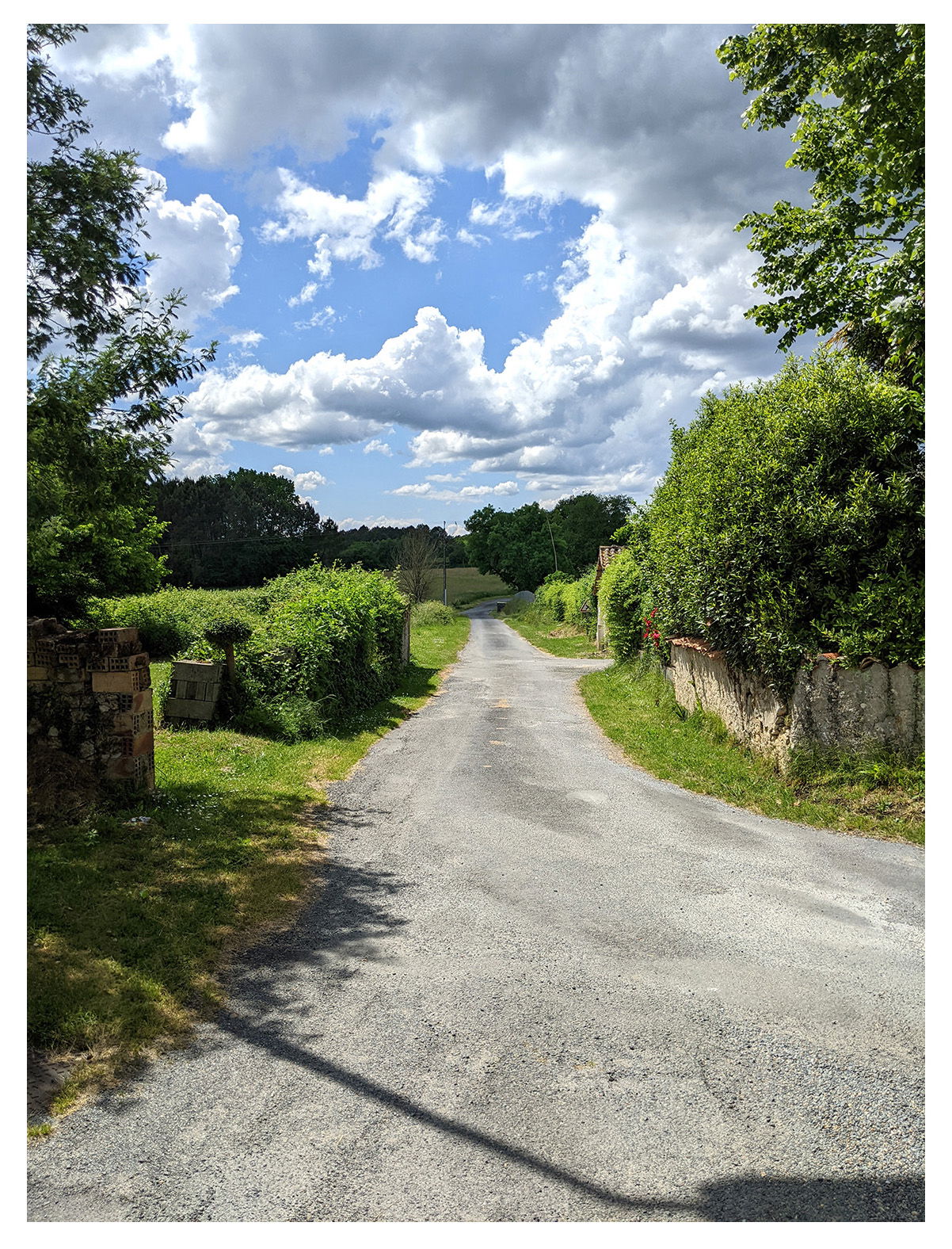 Gastfamilie Orignolles 661473