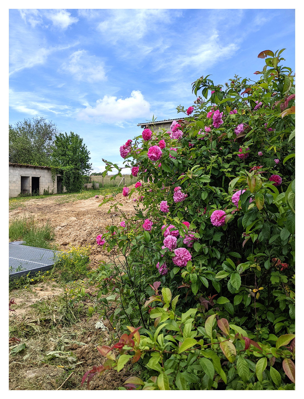 Homestay Orignolles 661473