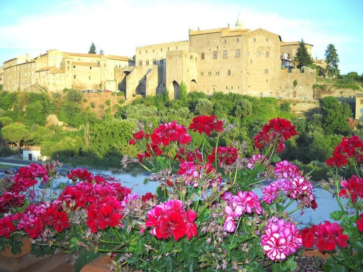 Camere Per Gli Ospiti Lazio 156522