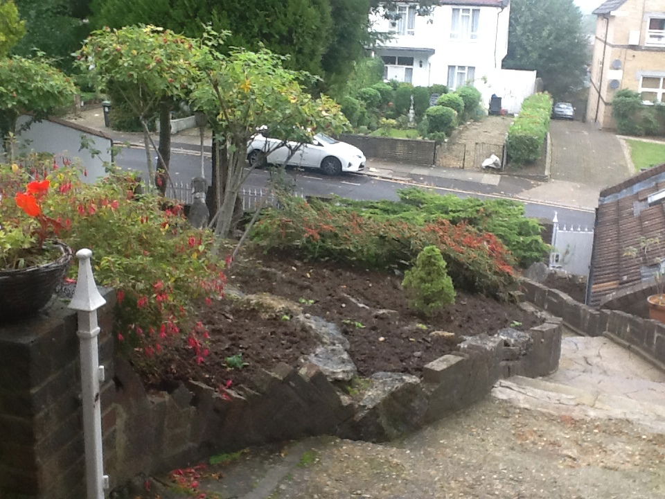 Famiglia London 195088