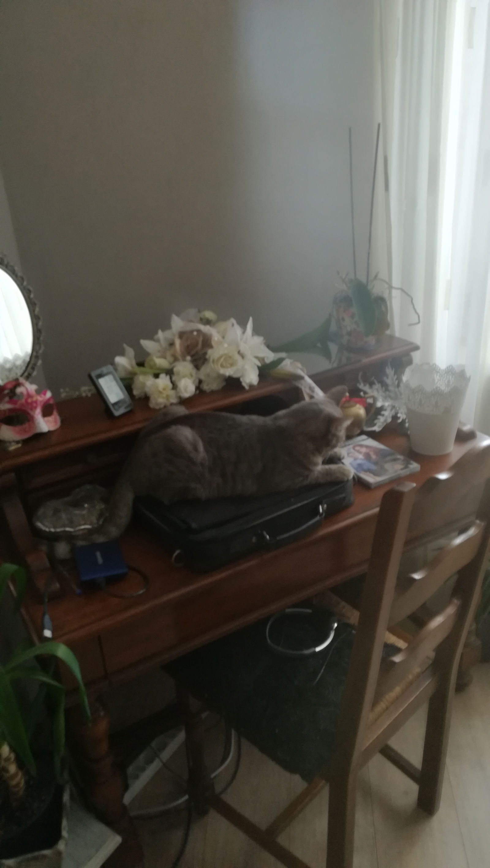 Gastekamers Folkling 60526