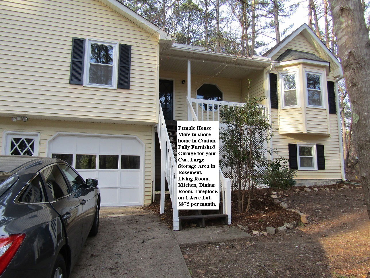 Famiglia Canton 186603