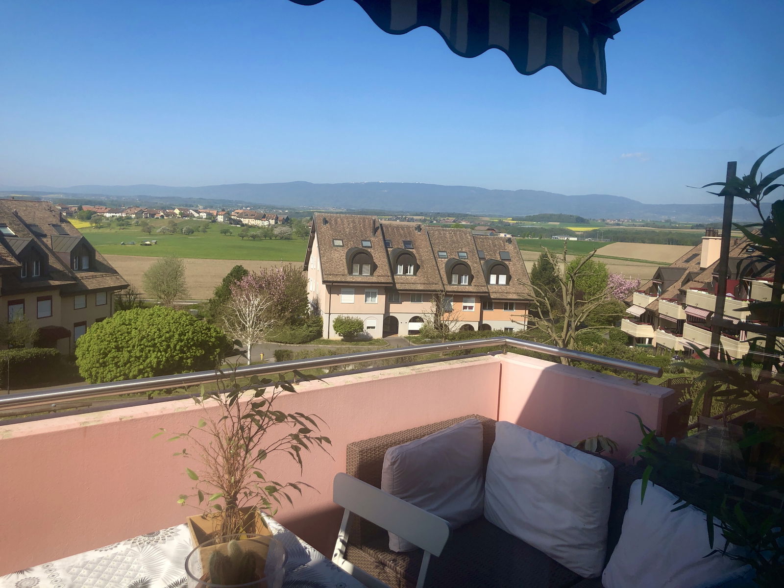 Gastfamilie Mex 242824