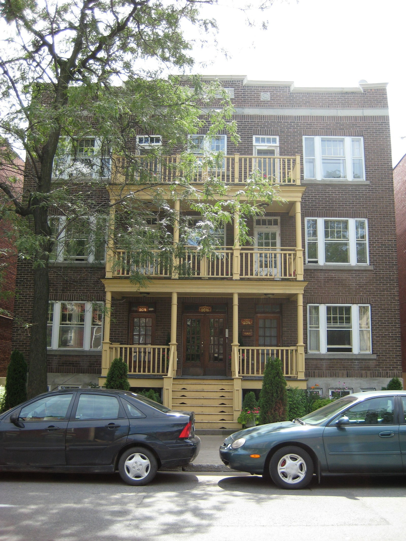 Kolokasie Montréal 118834