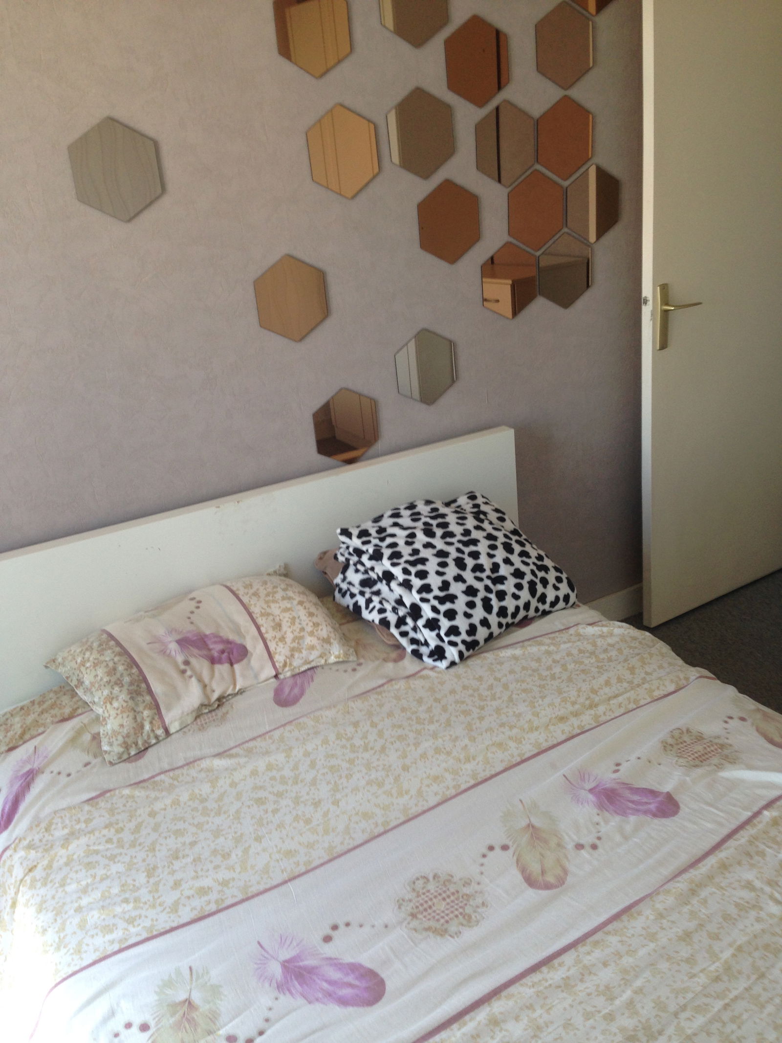 Colocatie Choisy-le-Roi 117818