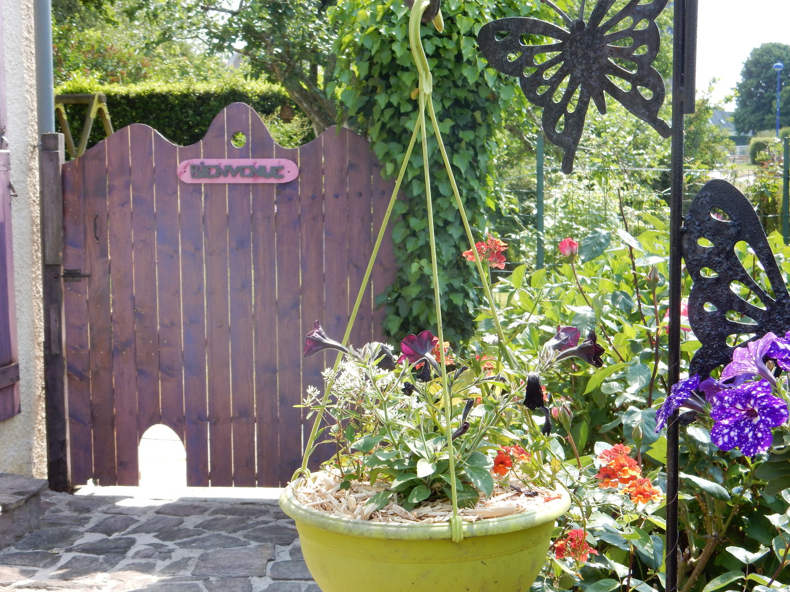 Gehele Woning Pluneret 126436