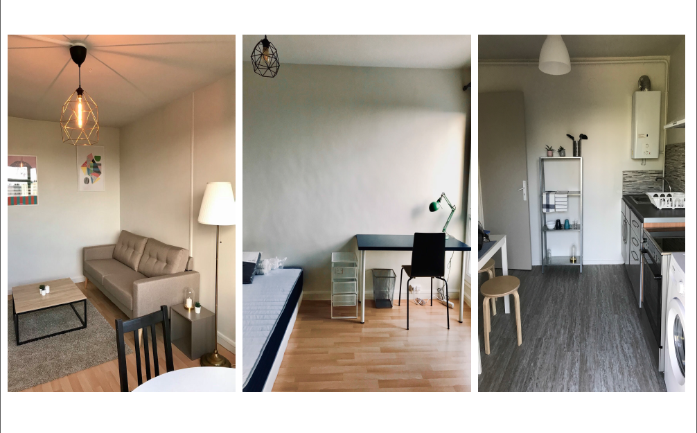 Kolokasie Mont-Saint-Aignan 221337