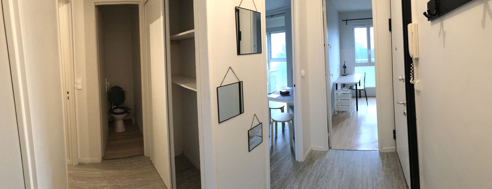 Kolokasie Mont-Saint-Aignan 221337