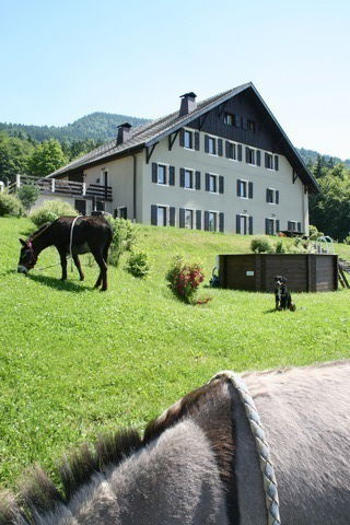 Tutta La Casa Draillant 59612