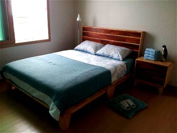 Room For Rent Seogwipo-Si 175728-1