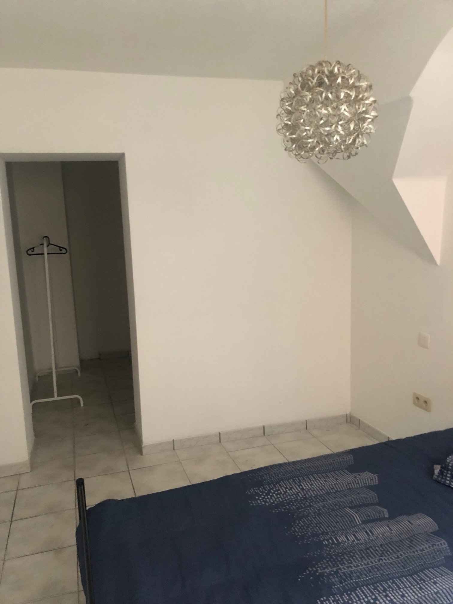 Kolokasie Charleroi 533907