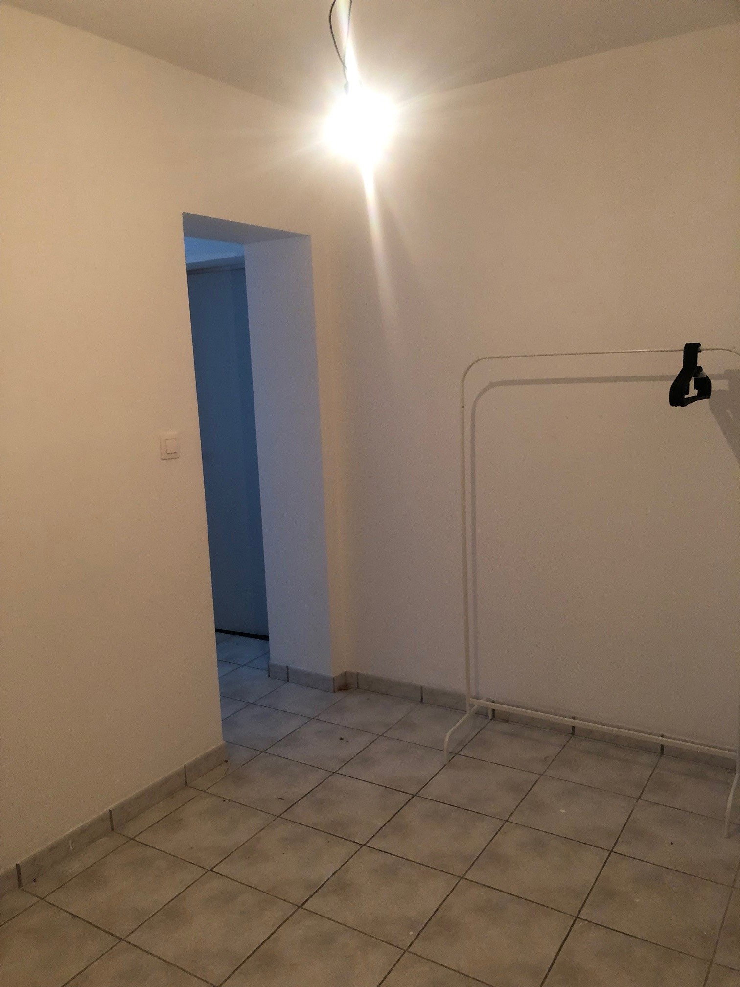 Kolokasie Charleroi 533907