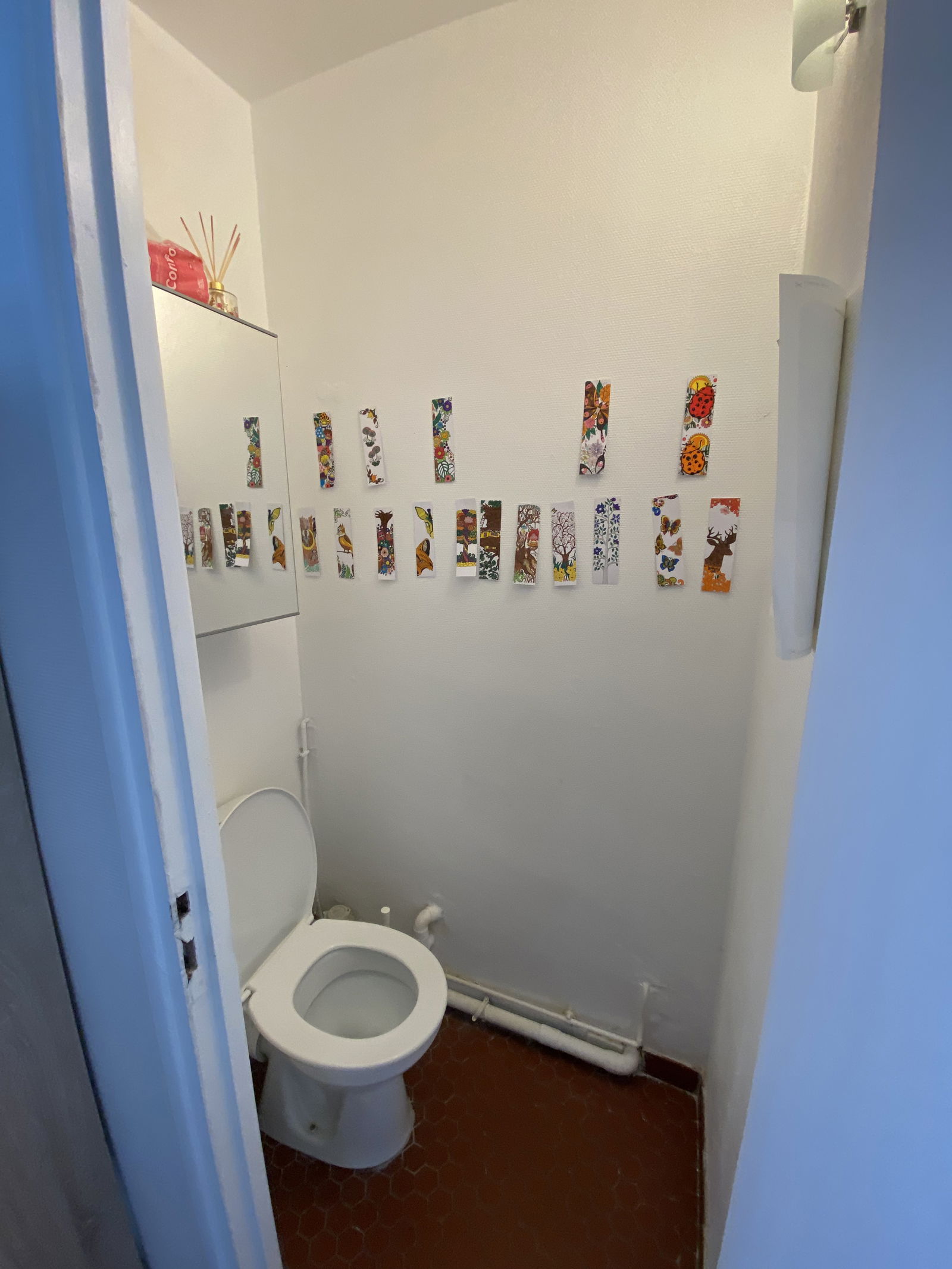 Kolokasie Toulouse 542931