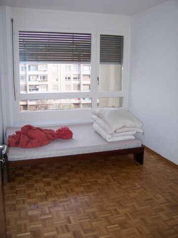 Kolokasie Carouge 30051