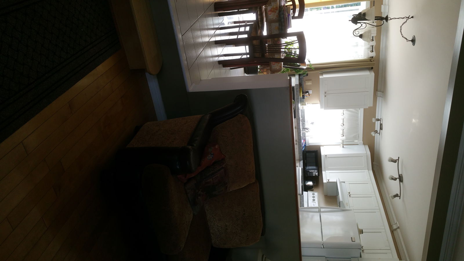 Kolokasie Saint-Jérôme 143416