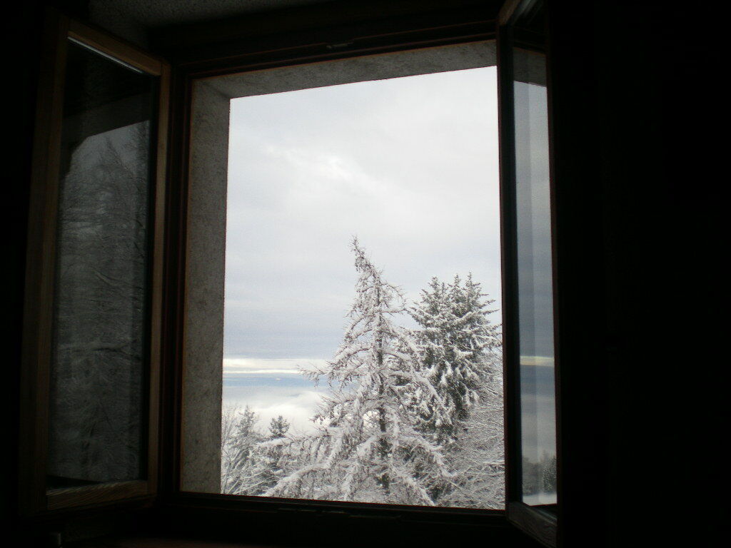 Kotimajoitus Montreux 217541