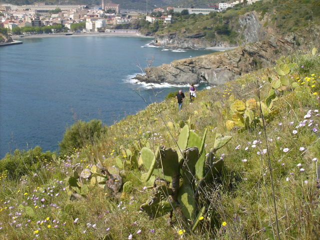 Kotimajoitus Portbou 7517