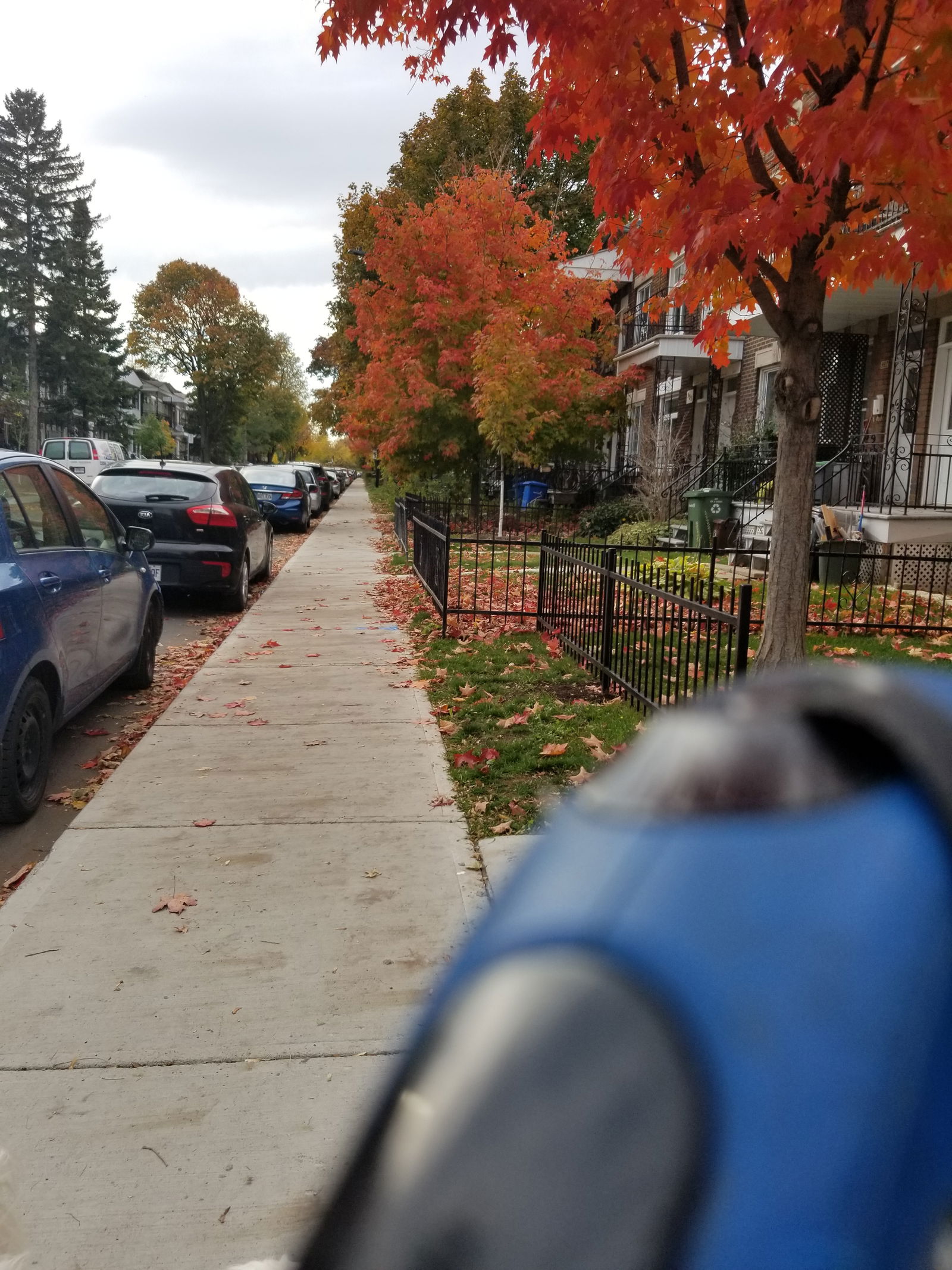 Vierashuoneet Montréal 7650