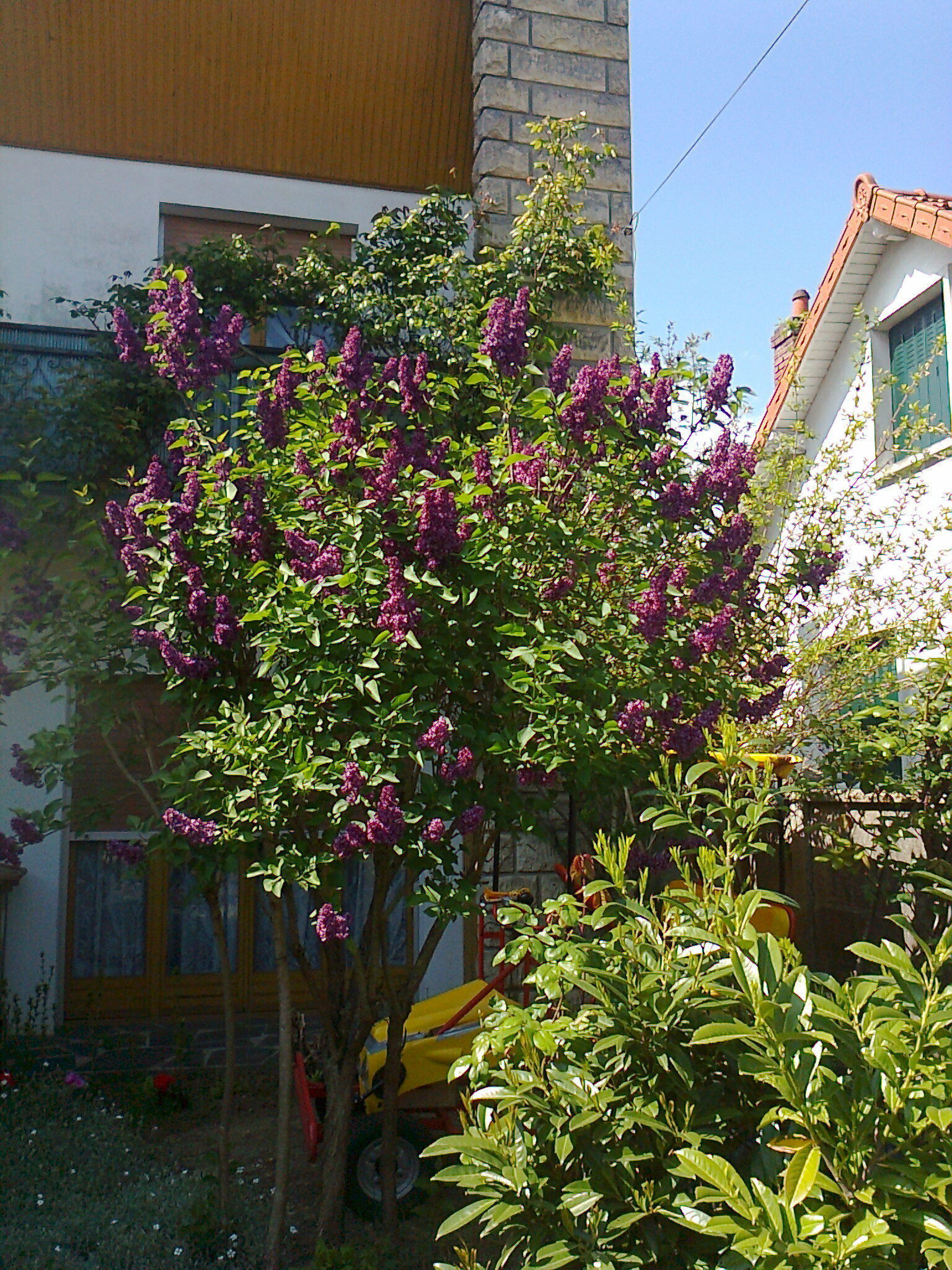 Kotimajoitus Montgeron 82873