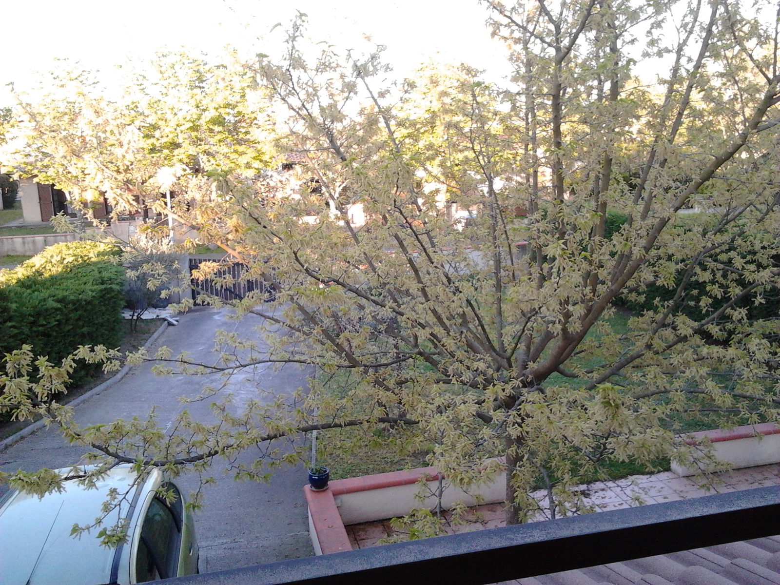 Kotimajoitus Colomiers 70120