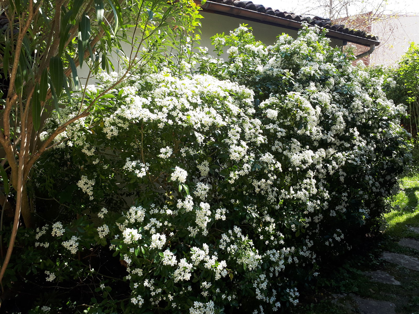 Kotimajoitus Camblanes-et-Meynac 24265