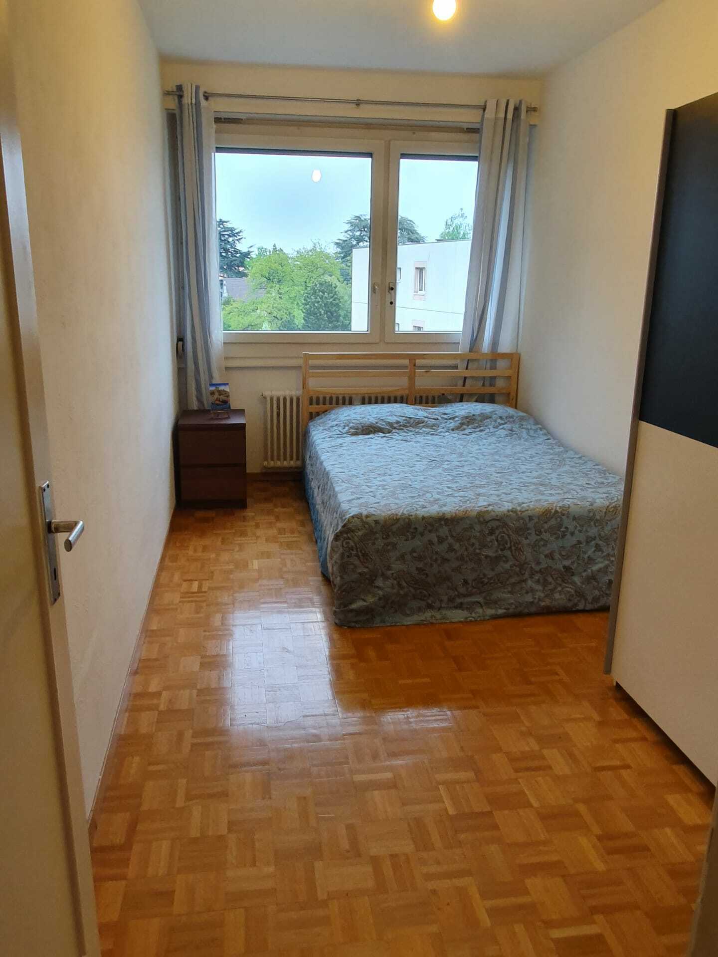 Järjestäminen Vernier 238451