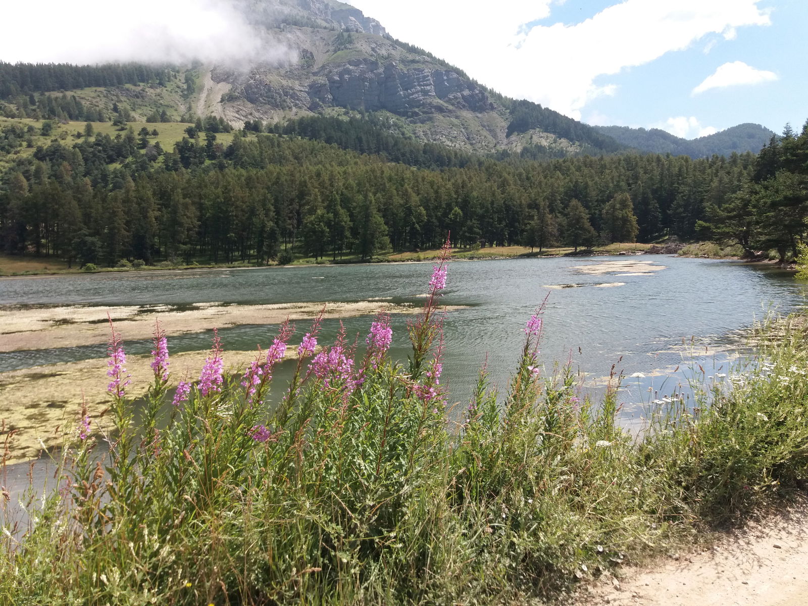 Itsenäinen Studio Saint-Julien-en-Champsaur 95373