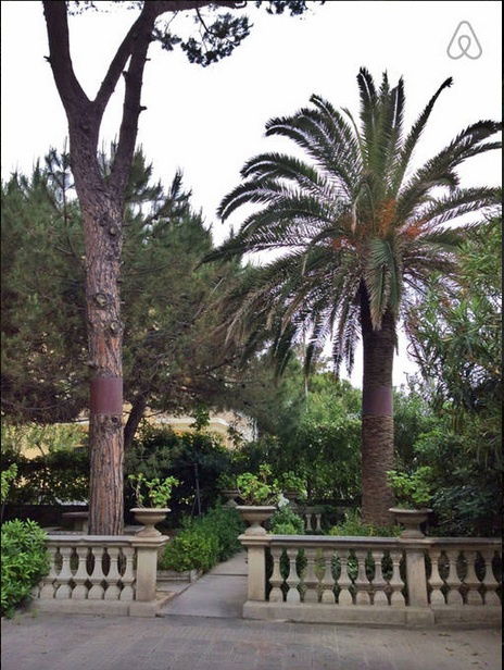 Niezależne Studio Tortoreto Lido 202005