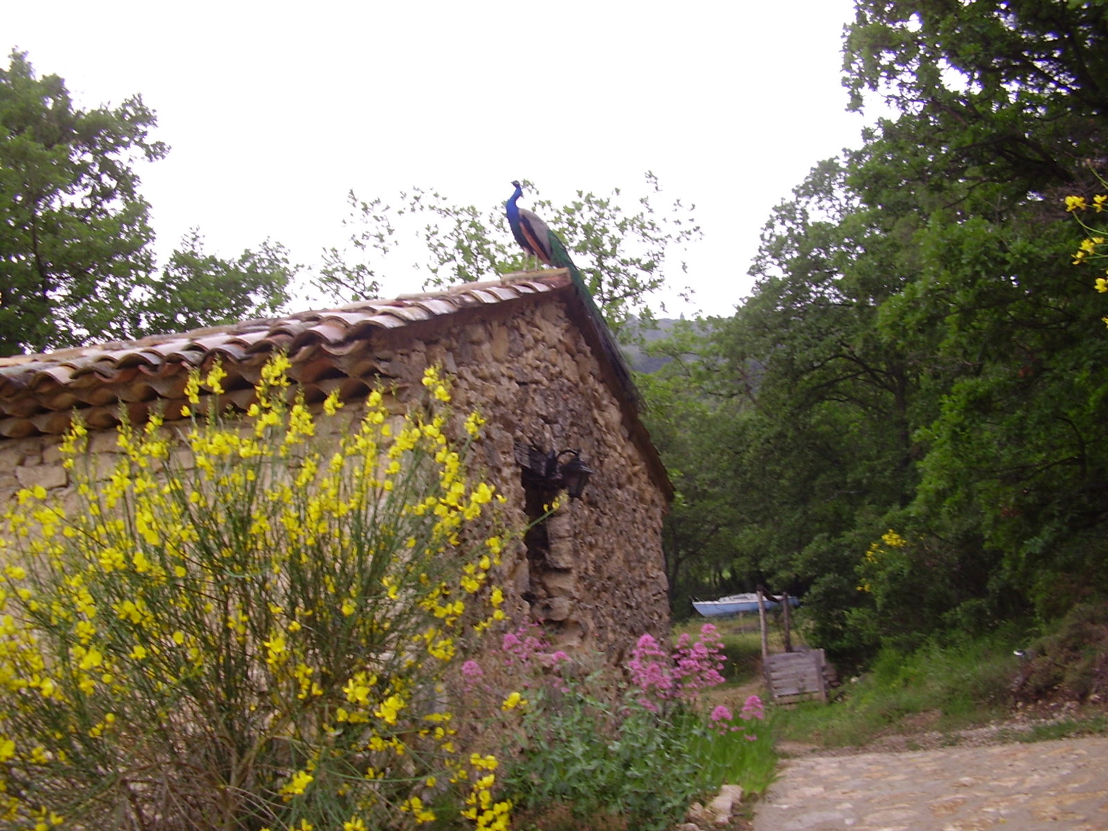 Cały Dom Lourmarin 639738