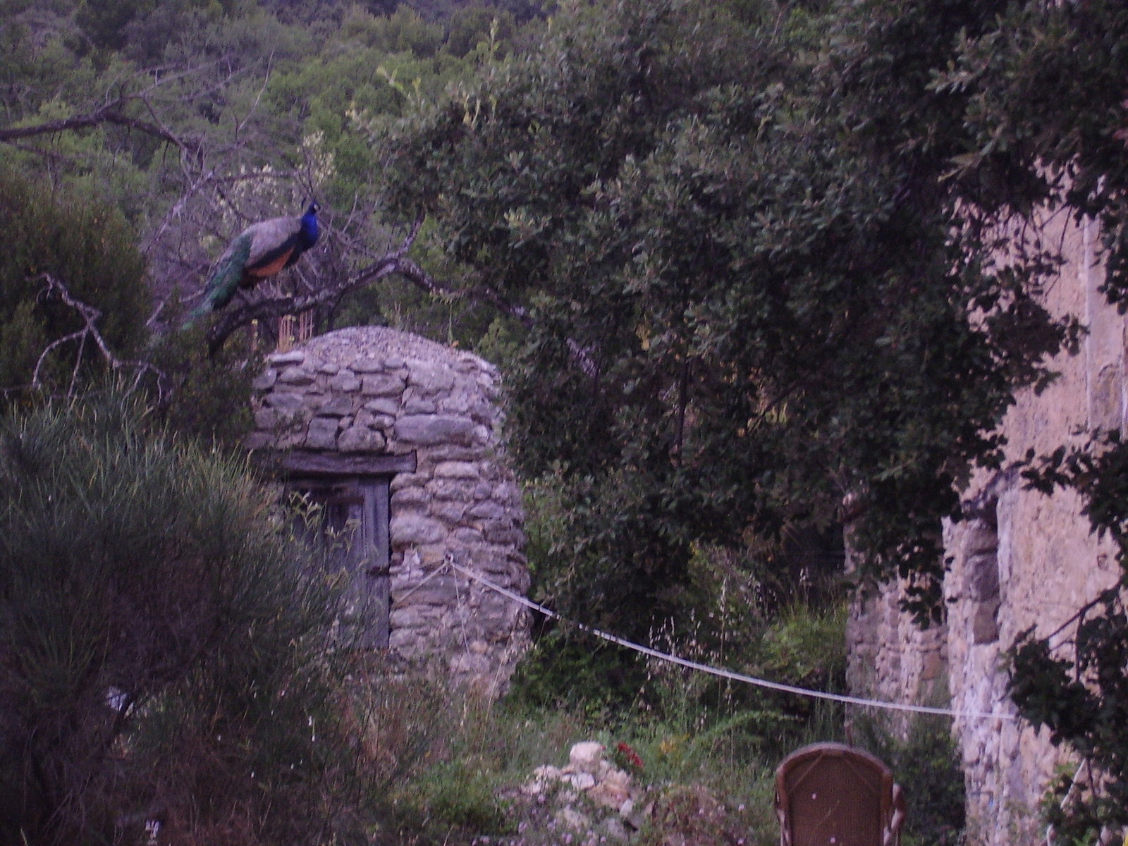 Cały Dom Lourmarin 639738