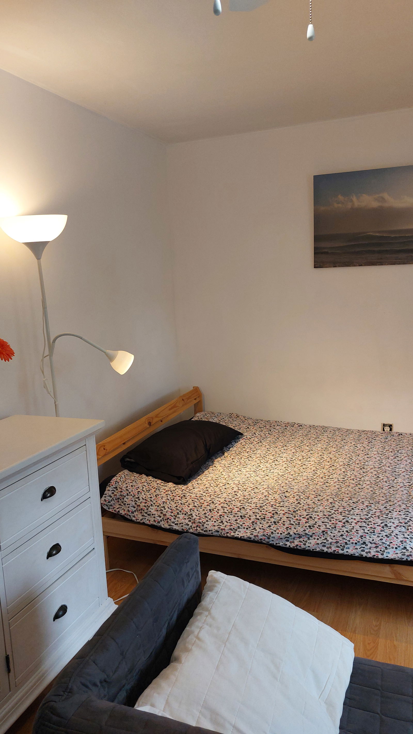 Homestay Toronto 266281