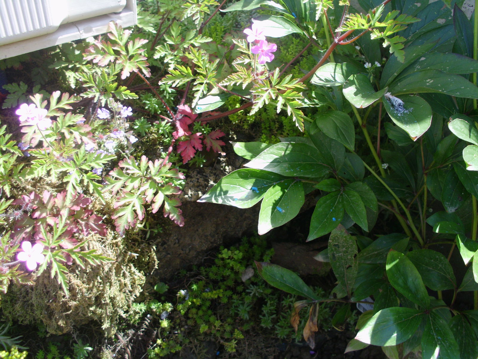 Zakwaterowanie U Rodziny Bertrix 185304