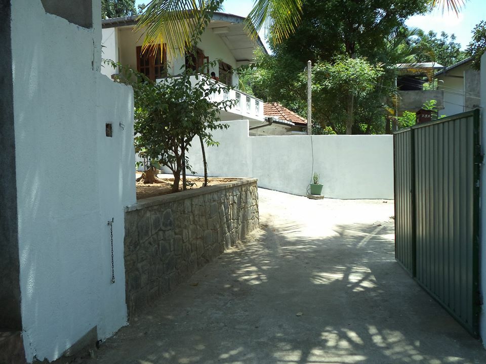 Unabhängiges Studio Kandy 184921