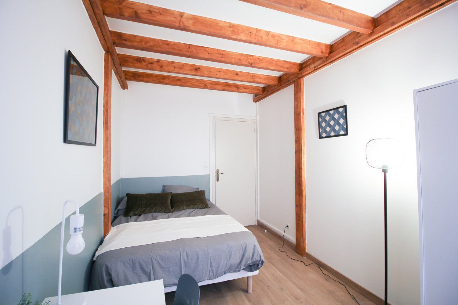 Colocation Lyon 264504