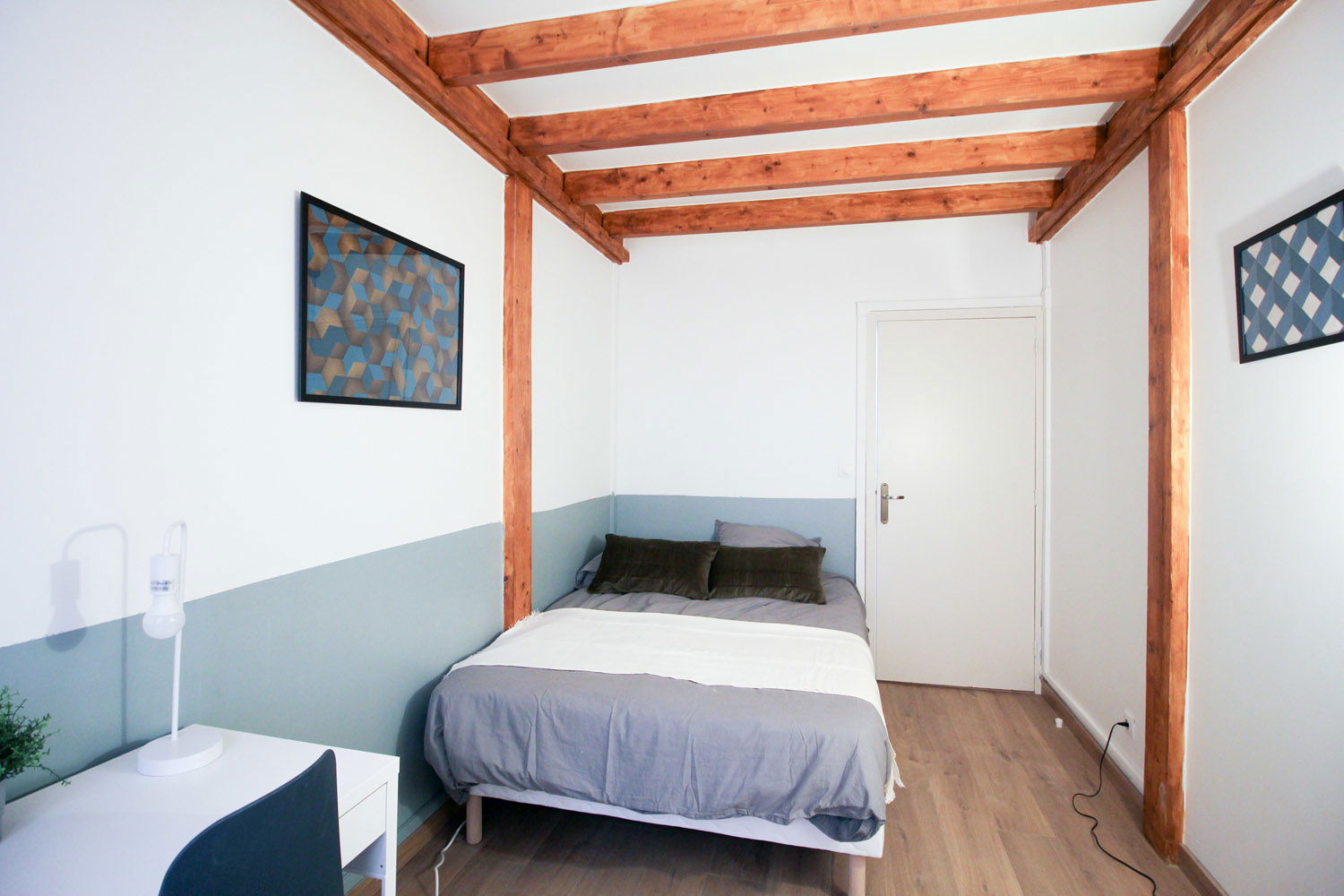Colocation Lyon 264504