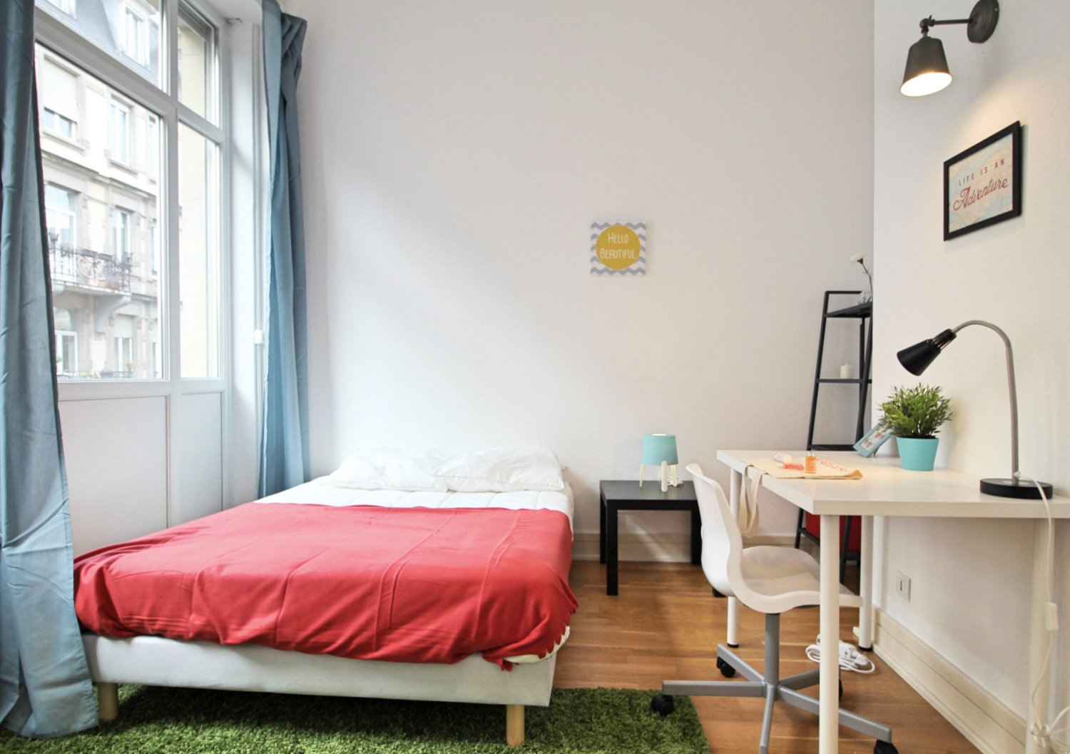 Colocation Strasbourg 264658