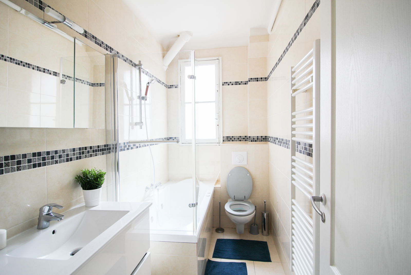 Colocation Paris 225645