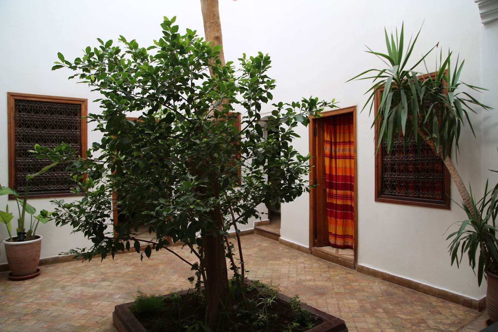 Bed And Breakfast Marrakech 187163